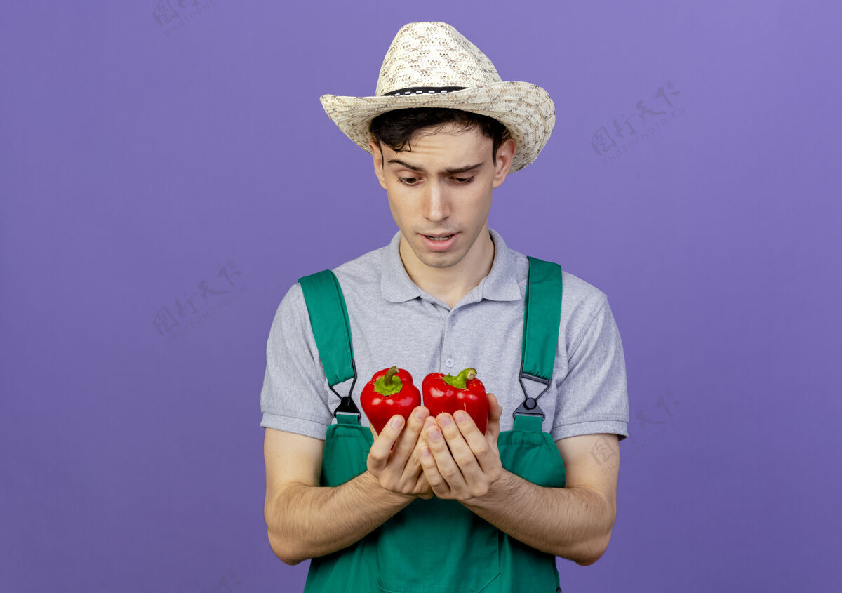 胡椒困惑的年轻男园丁戴着园艺帽 手持并看着红辣椒紫色空间花园