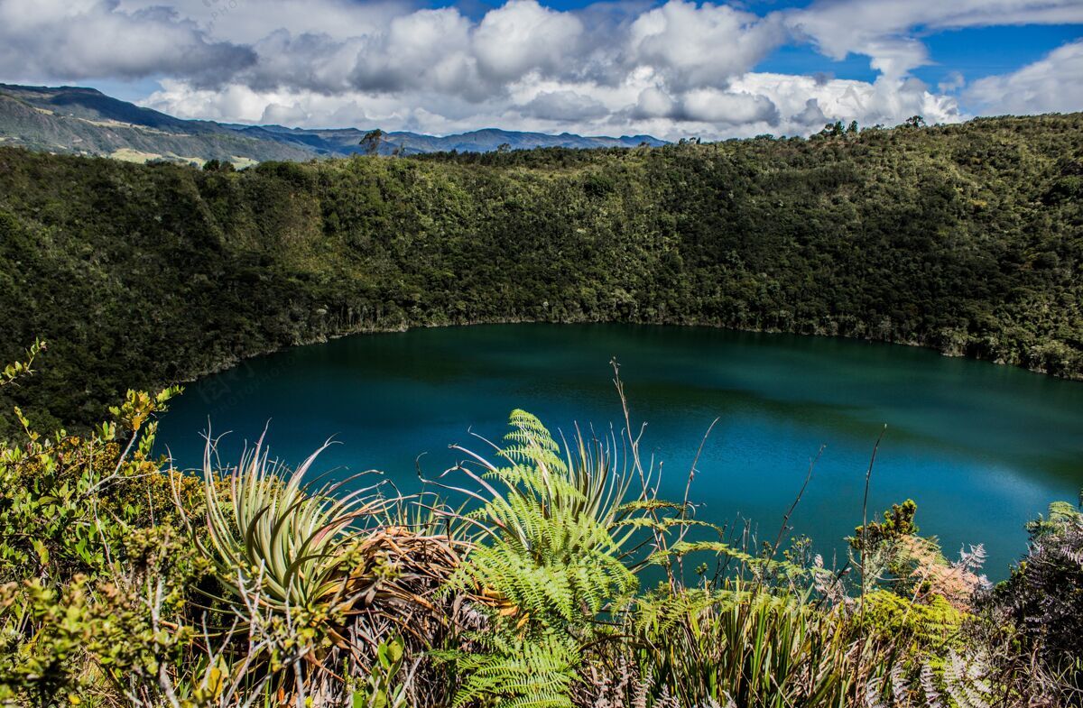 森林哥伦比亚阳光下 绿色植物环绕的瓜塔维塔仙人掌景观天空环境神奇