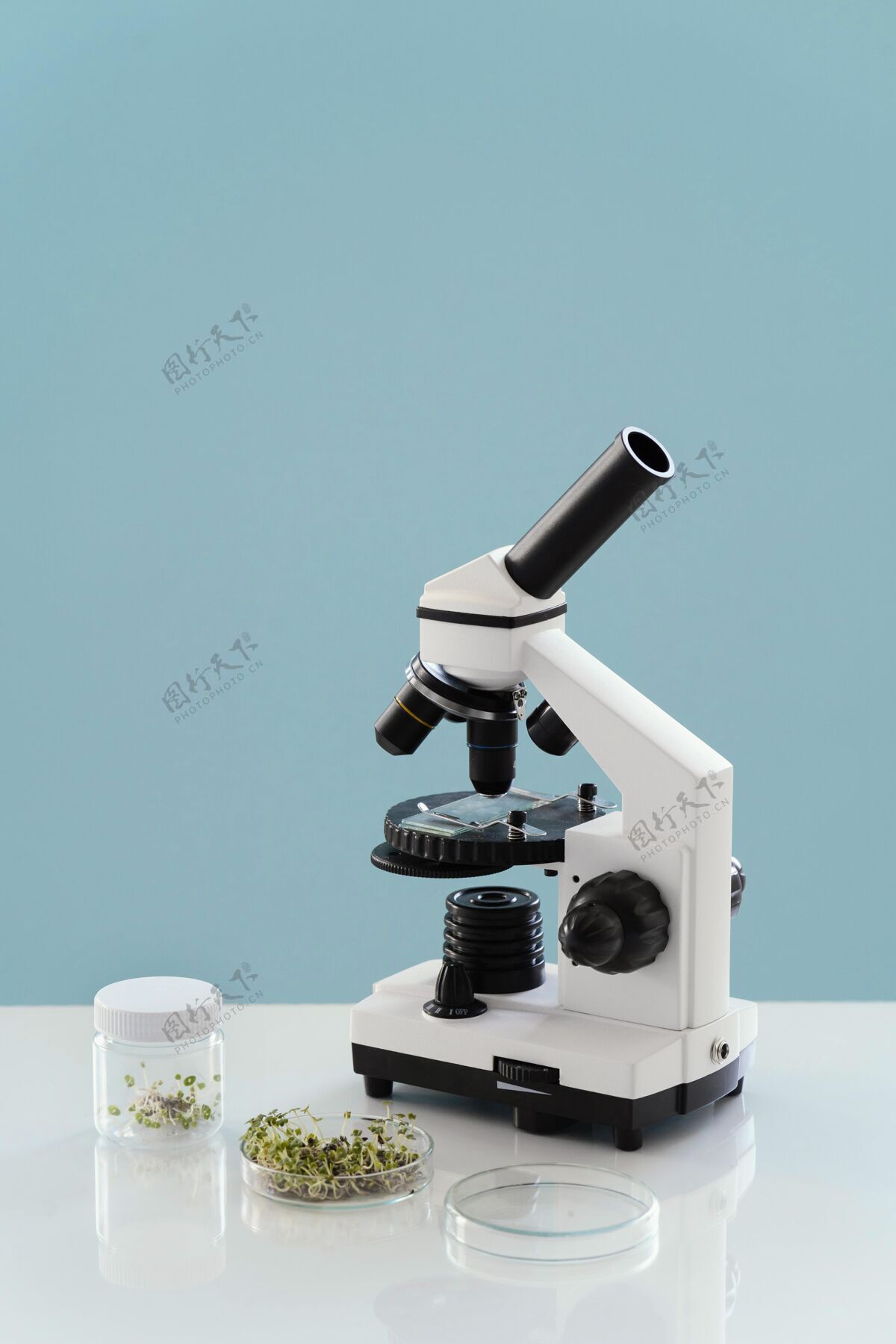 排列用显微镜和植物布置生活方式技术培养皿