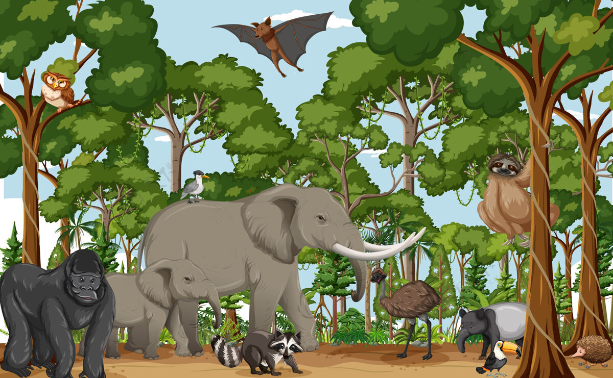 自然森林里的野生动物卡通人物环境热带大象