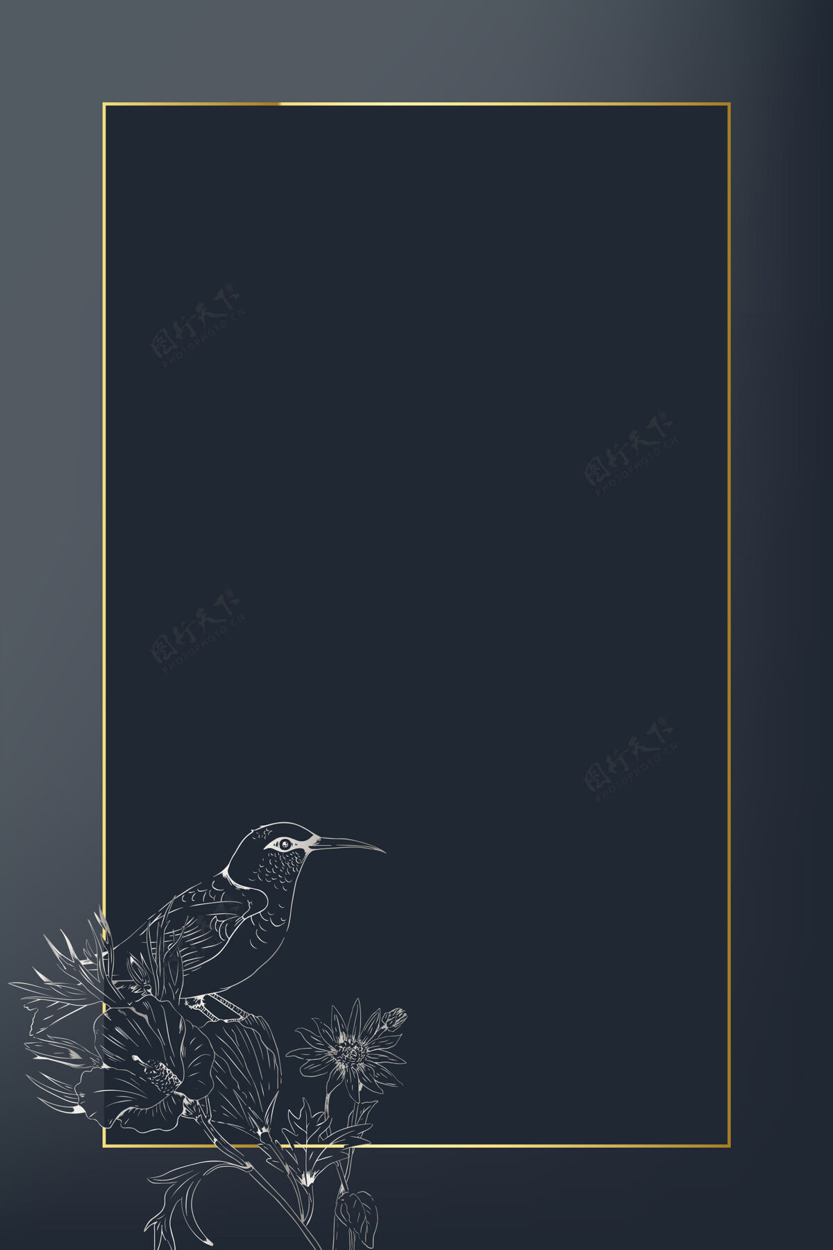 野生蓝色背景上的金色矩形框架苍蝇框架豪华
