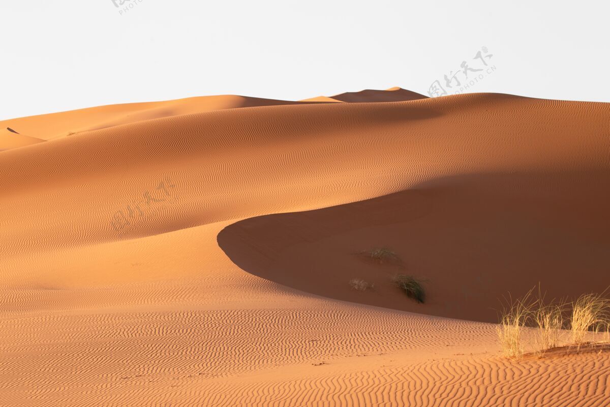 公园在一个阳光明媚的日子里 沙漠地区沙丘的美丽景色干旱炎热岩石