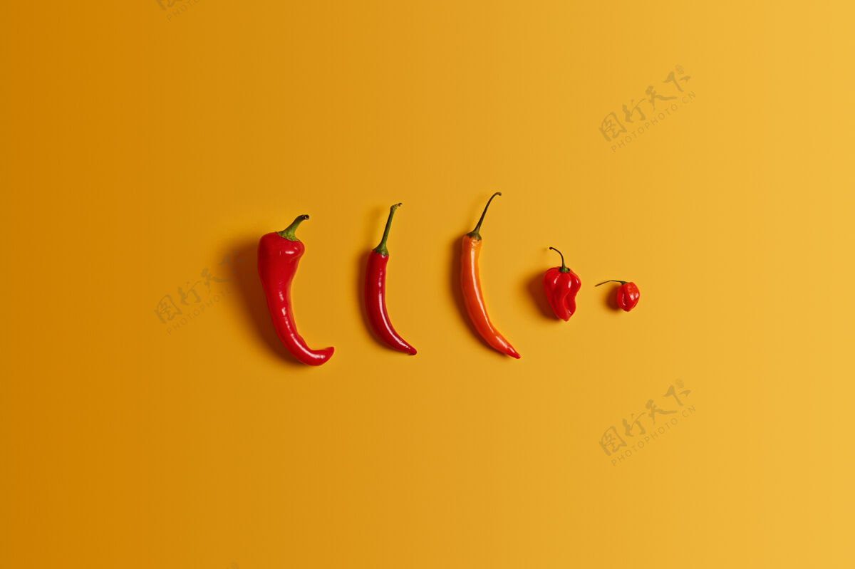 风味在黄色背景上排列不同大小和形状的红辣椒各种辣椒辛辣的食物概念几个卡延照片上没有人准备沙拉的健康蔬菜划船热颜色
