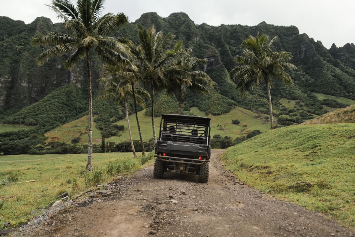 旅游夏威夷吉普车全景图夏威夷旅游汽车吉普车