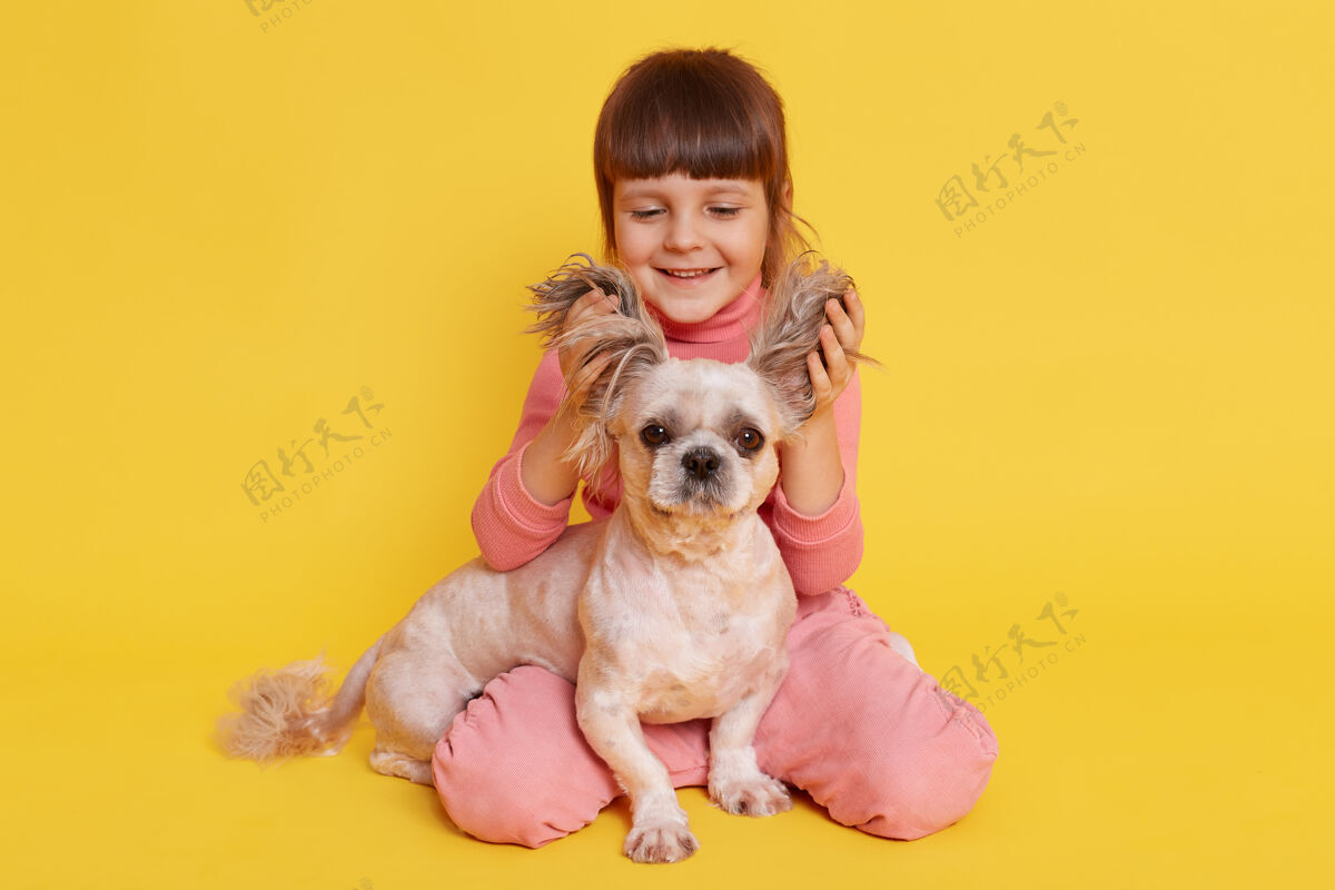 可爱和狗在一起玩耍的女孩抬起小狗的耳朵 笑在黄色上狗有趣肖像