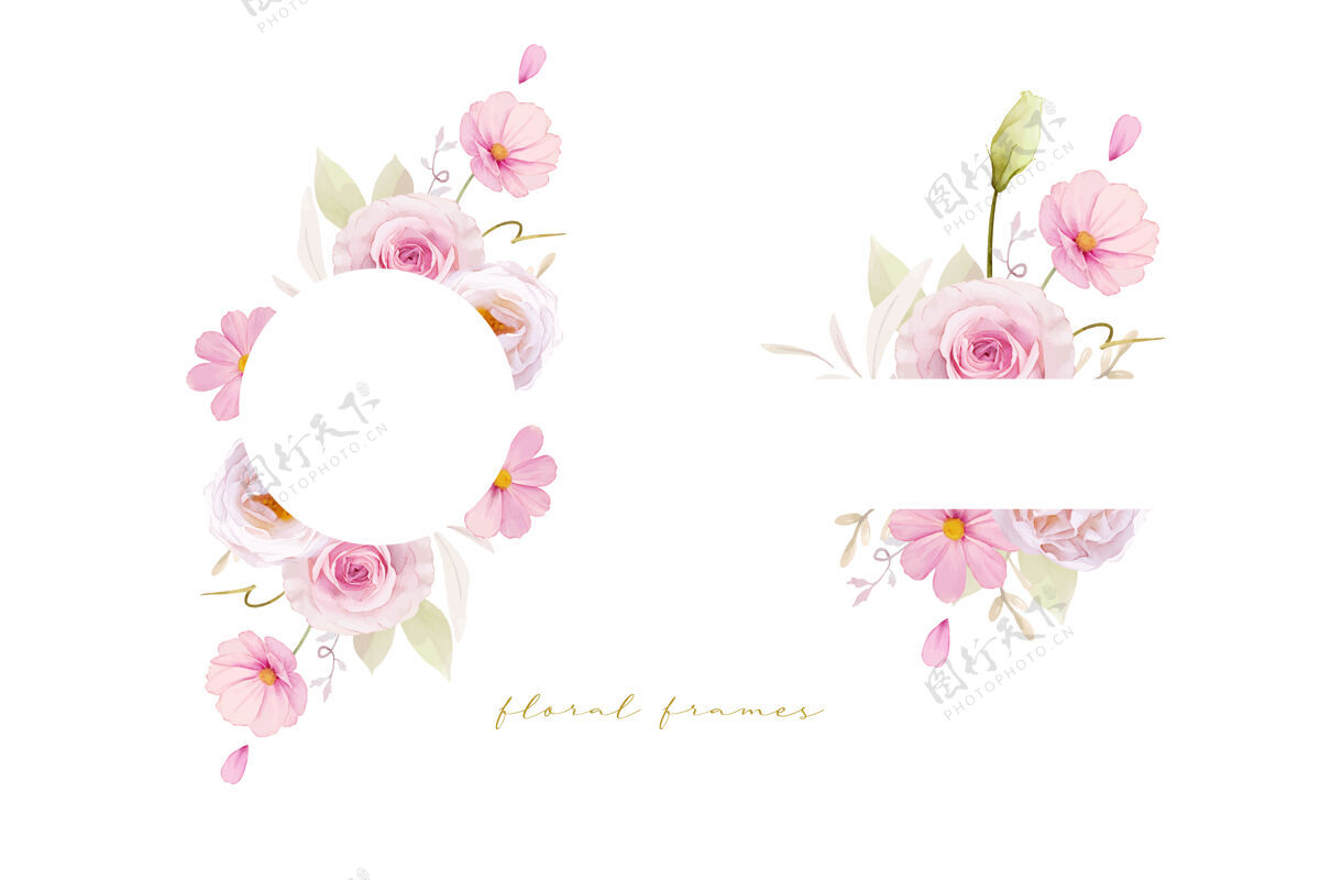 水彩美丽的花卉框架与水彩粉红玫瑰花设置海葵