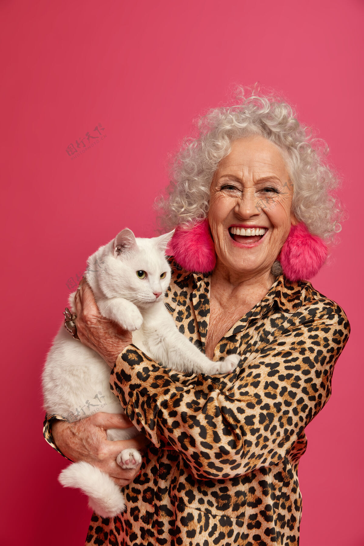 健康幸福的皱纹时尚奶奶与美丽的猫特写肖像垂直护理皱纹
