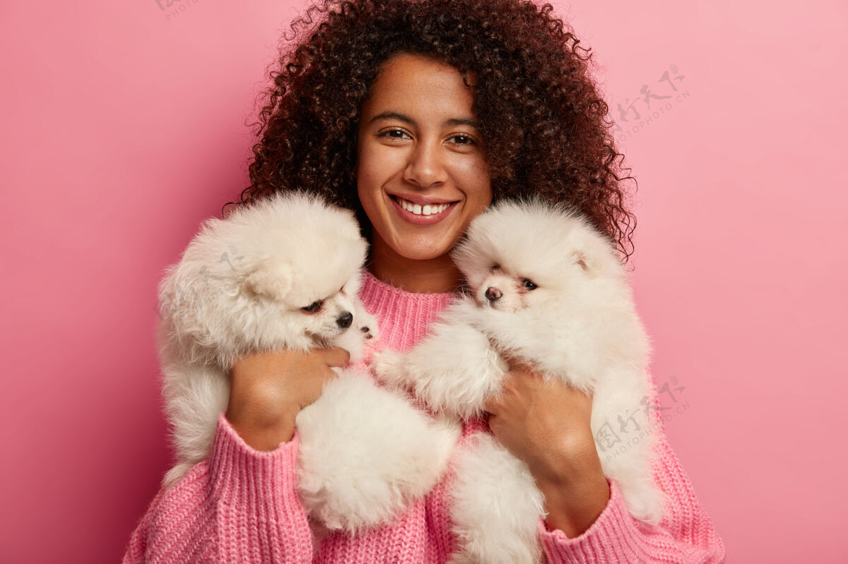 人类一个美丽的非裔美国妇女玩小狗 持有两个白色斯皮茨狗谁表示忠诚和奉献 学习有关宠物治疗剪辑镜头抱着狗卷发