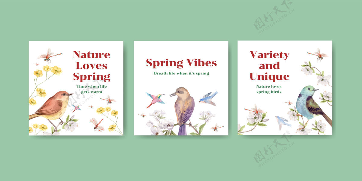 符号广告模板集鸟类和春天的概念野生绘画羽毛