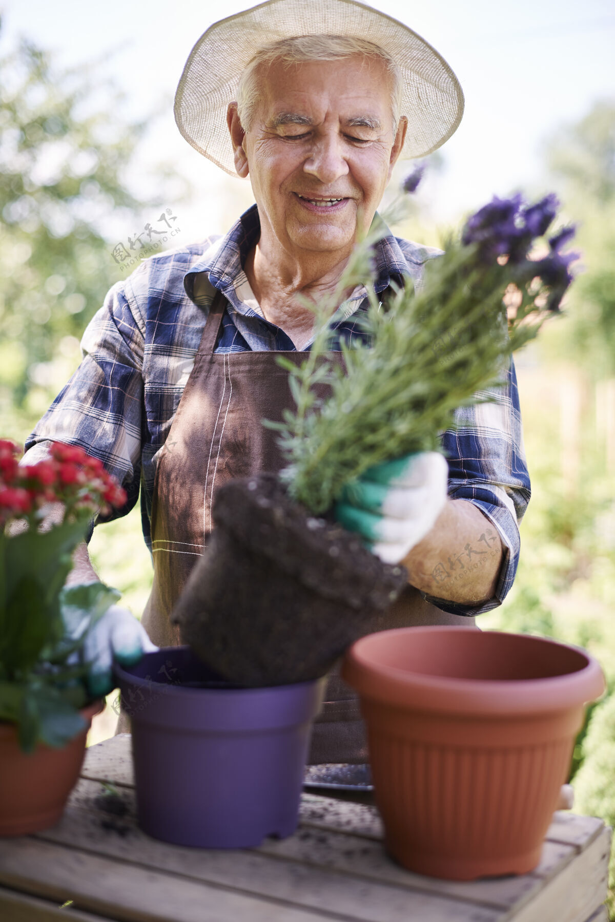 健康生活方式拿着花在地里干活的老人职业木微笑