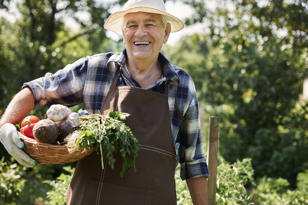 帽子在地里种菜的老人体力劳动者老年人农业