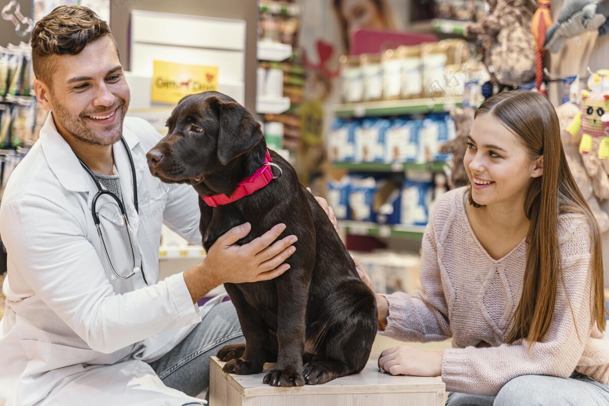 可爱宠物店的兽医正在检查狗室内动物销售