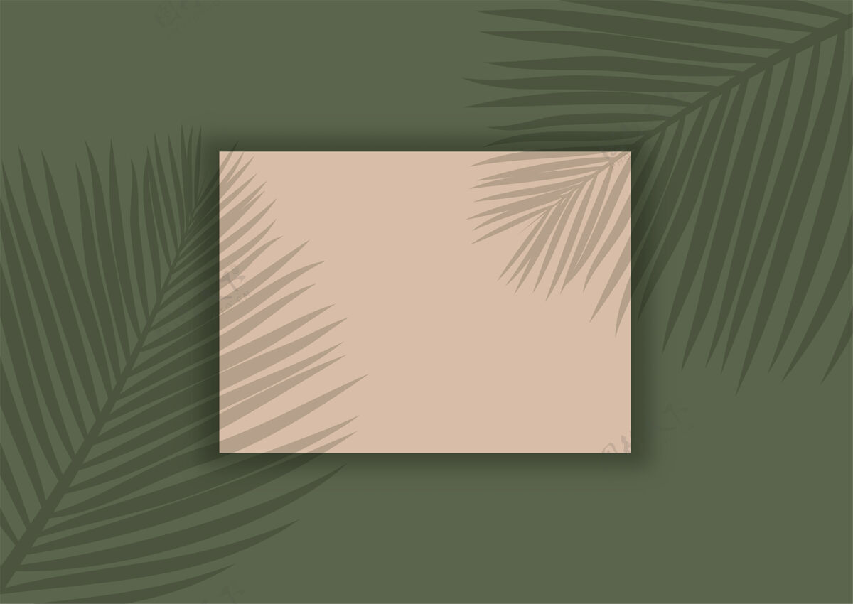 叶子显示棕榈树叶阴影覆盖的背景背景相框模糊