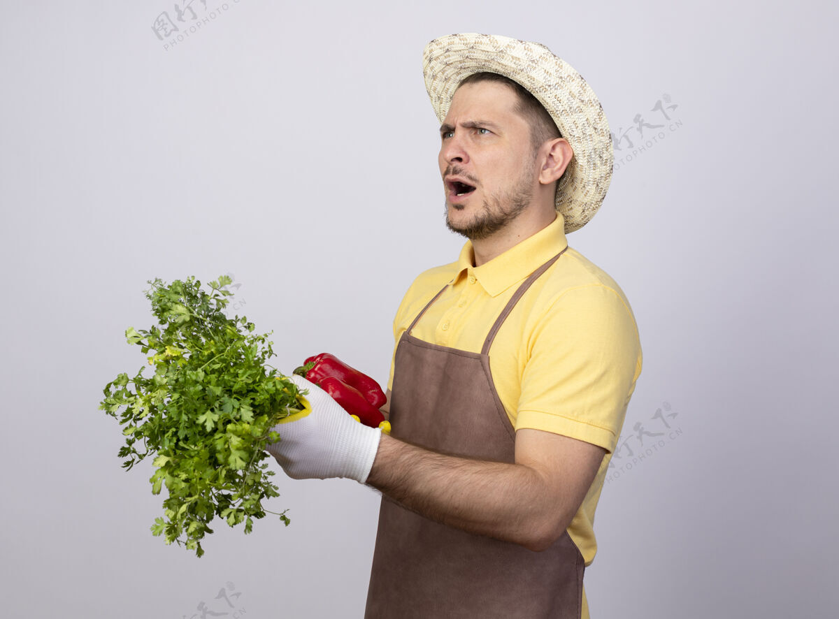 看年轻的园丁戴着工作手套 穿着连体衣 戴着帽子 手里拿着红甜椒和新鲜的草药 看上去很困惑红色工作困惑