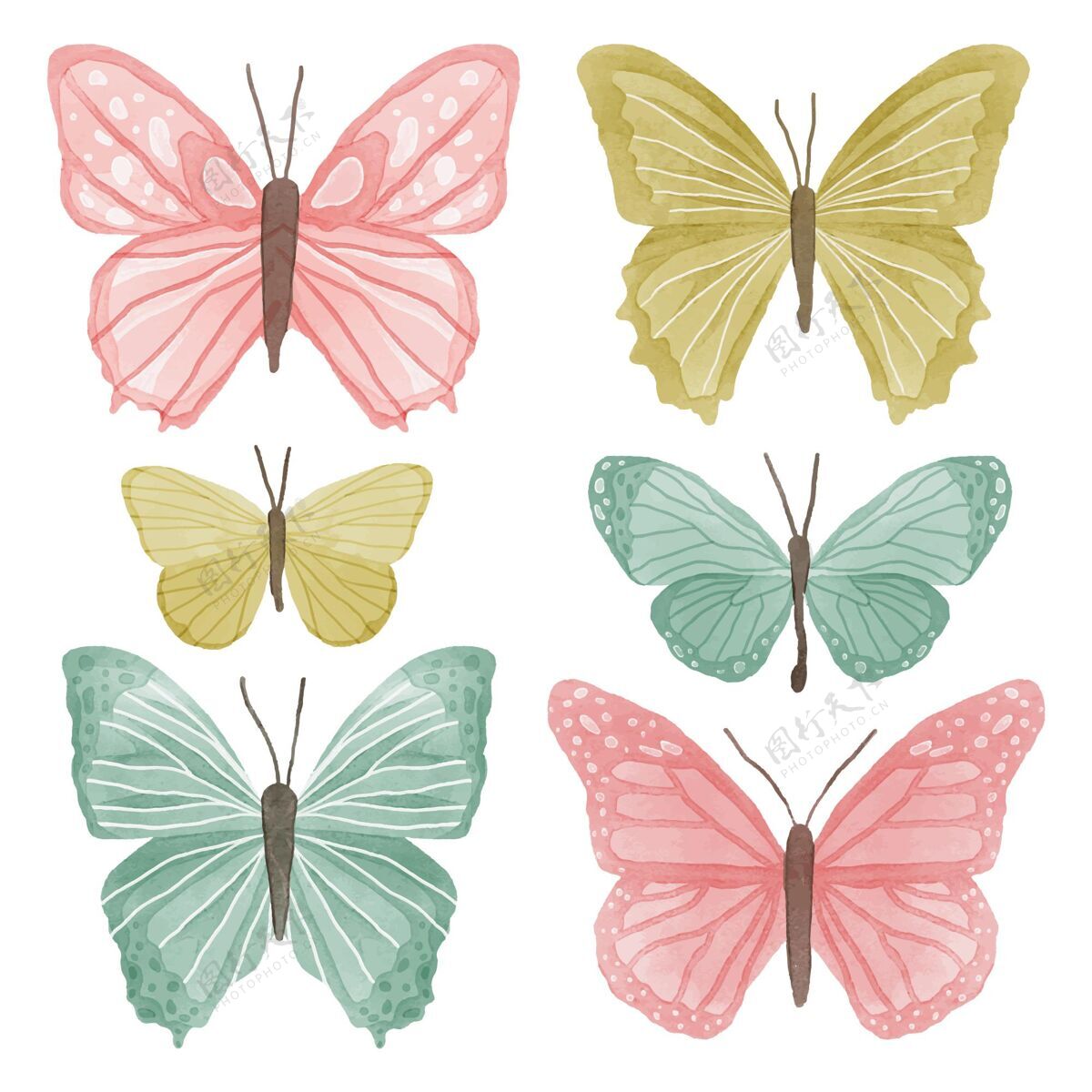 绘画可爱的水彩蝶系列包装绘画水彩