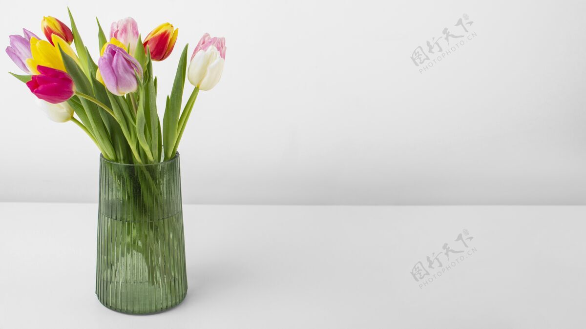 春天花瓶与郁金香和复制空间春天的花花花瓣