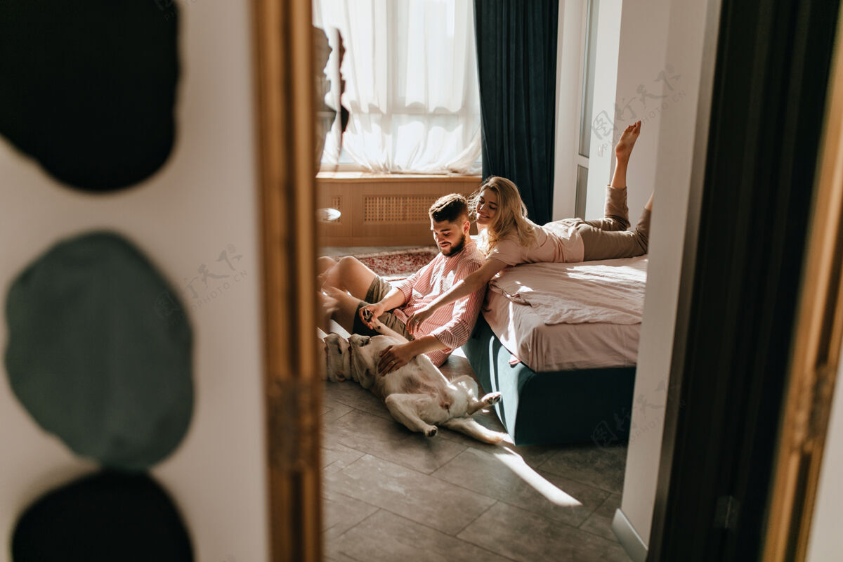成人一对情侣在阳光明媚的卧室里和拉布拉多玩耍的周末照片男孩和女孩正在抚摸大狗的肚子团聚公寓在一起