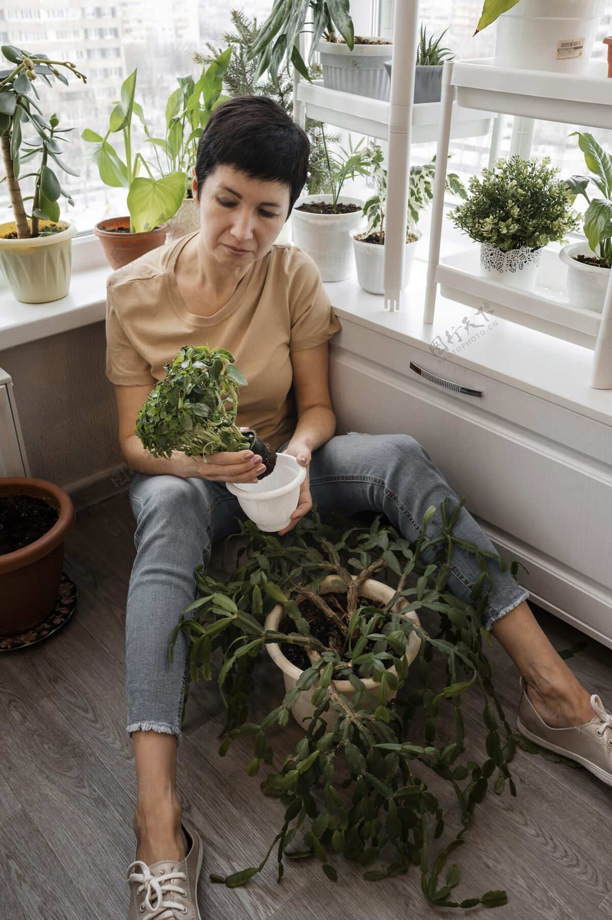 园艺高角度的女人照顾室内植物种植房子家庭