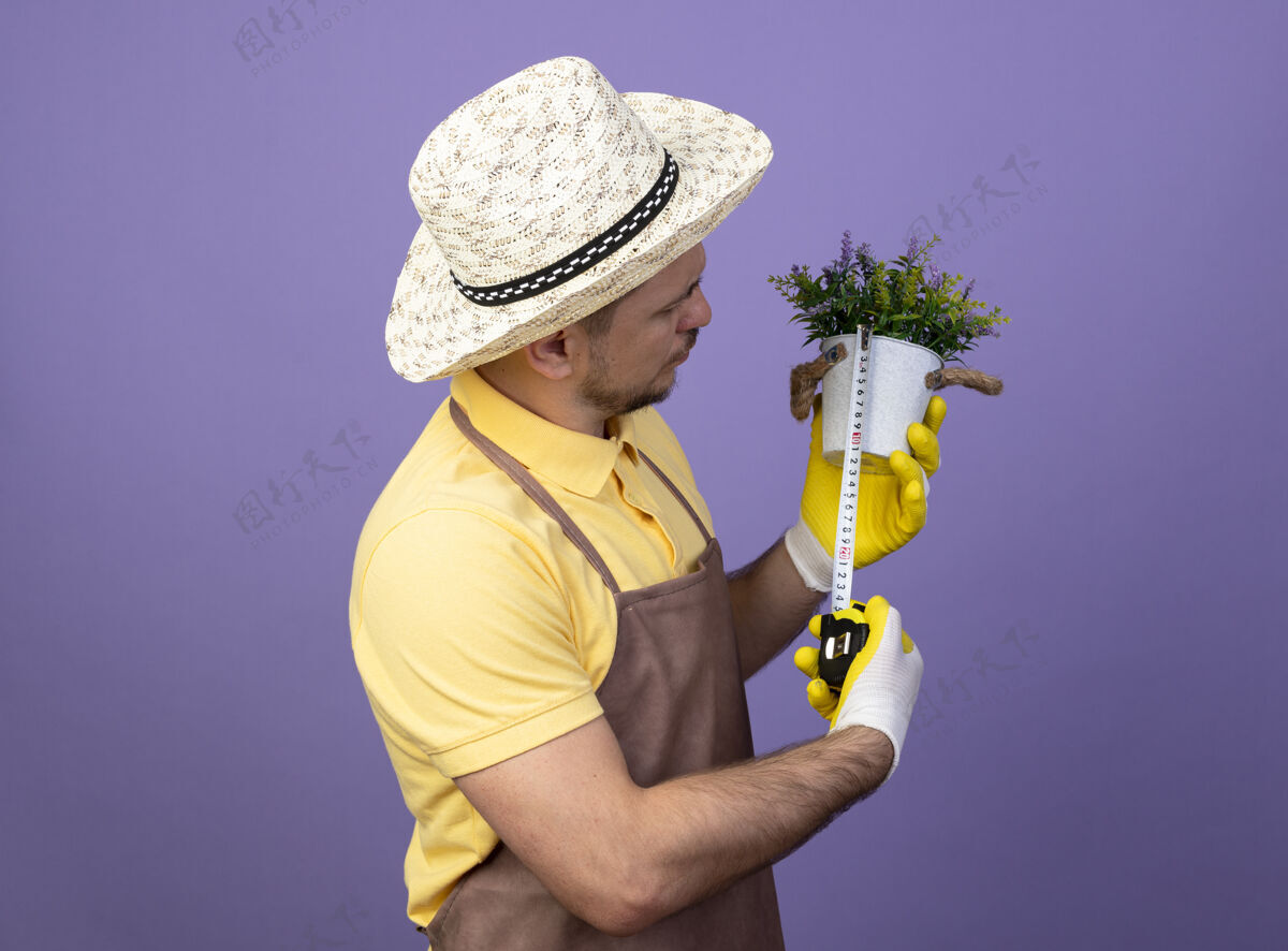 穿年轻的园丁穿着连体衣 戴着帽子 戴着工作手套 手里拿着盆栽植物 用卷尺量着它 站在紫色的墙上严肃地看着它手套工人站着