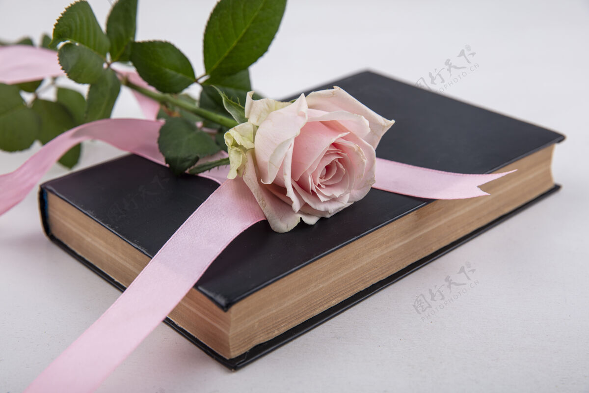 白色美丽的粉红色玫瑰的顶视图 叶子覆盖在一本白色背景的书上自然叶子玫瑰