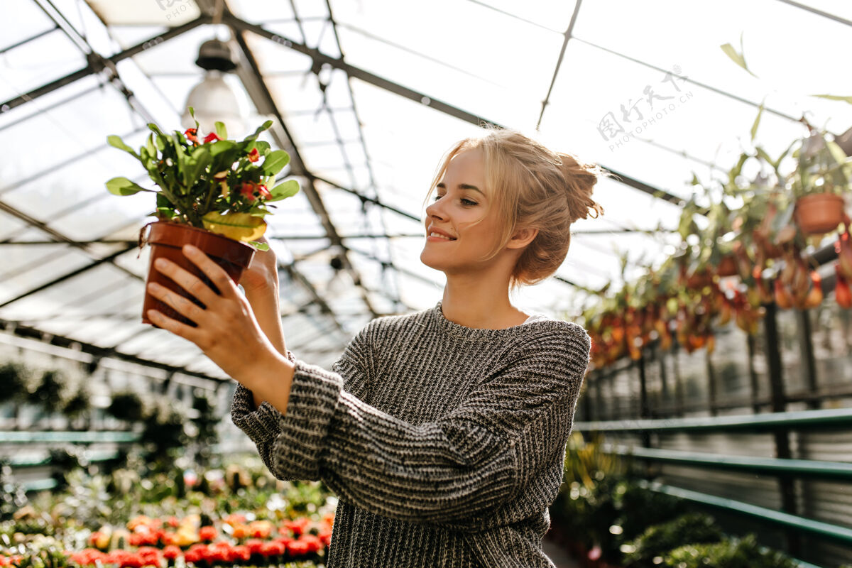 仙人掌心情很好的女人看着棕色花盆里的灌木丛叶子金发女人在植物店微笑女人波浪发针织