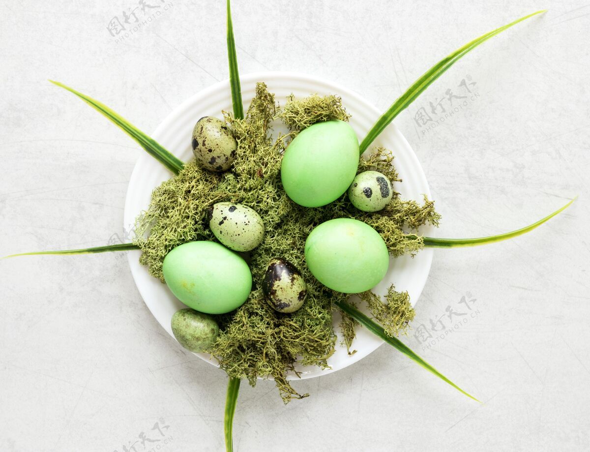 复活节绿色复活节鸡和鹌鹑蛋文化鸡蛋食物