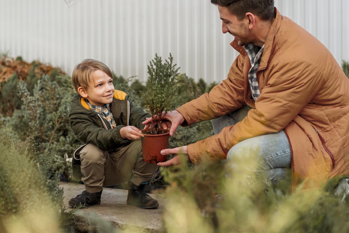 男孩父子俩一起在苗圃里树木栽培自然栽培