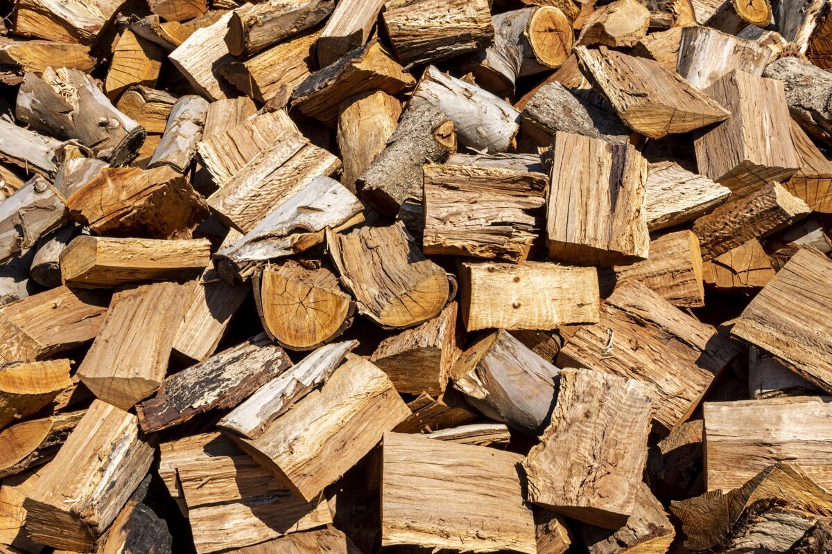 生物一堆碎木头自然有机表面