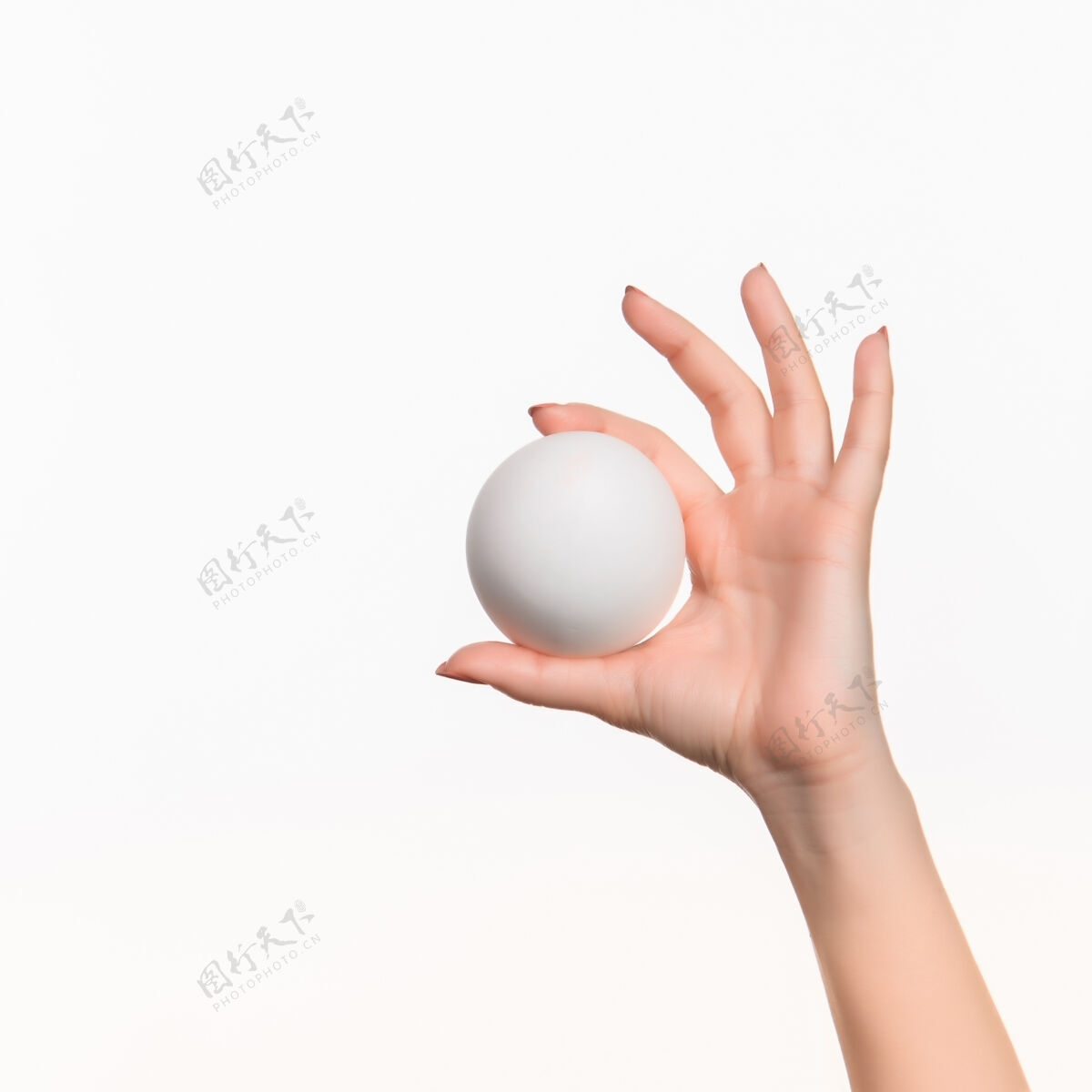 手臂女的手拿着白色的空白泡沫塑料球对着白色的泡沫球手指
