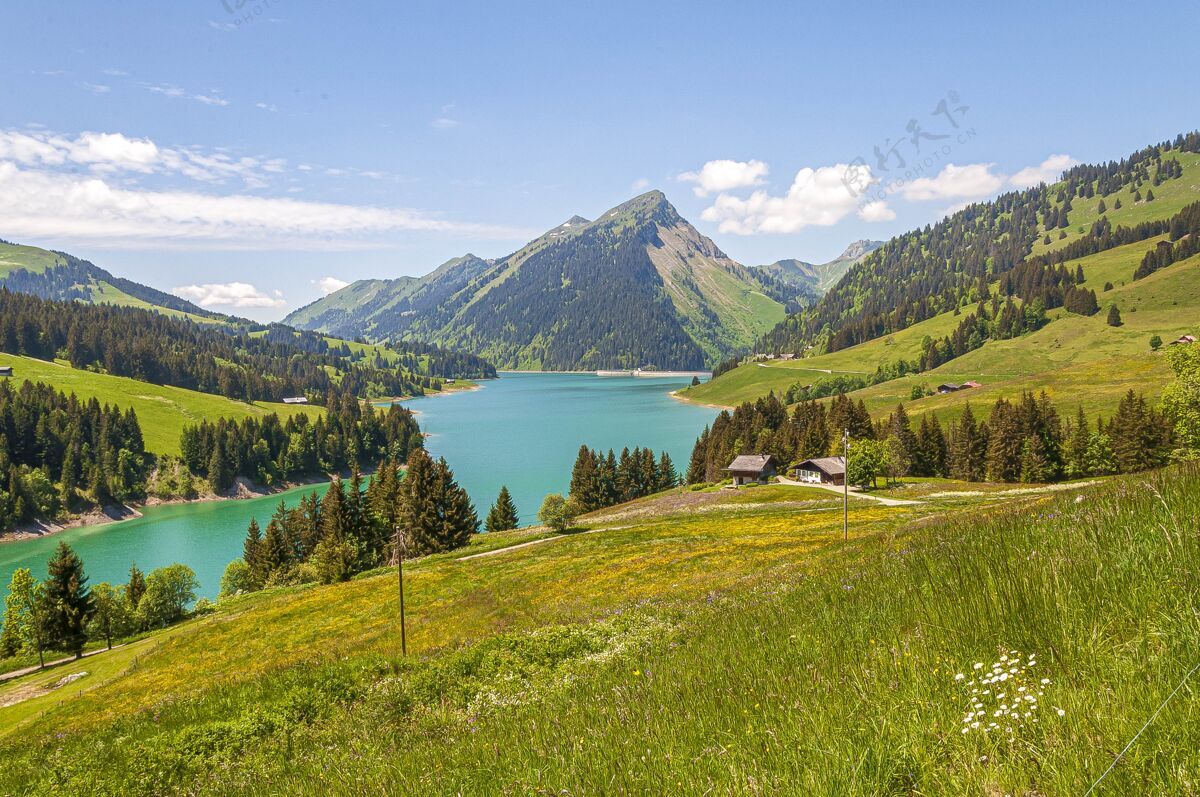 自然美丽的风景湖环山在隆林湖和大坝瑞士 瑞士乡村风景欧洲