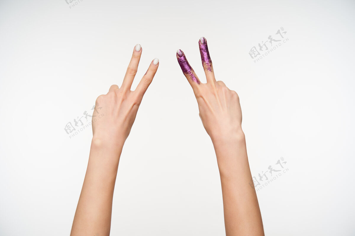 紫色室内画像 两个抬起的女性美丽的手与白色指甲形成胜利手势手指 而被隔离在白色美甲指甲站立