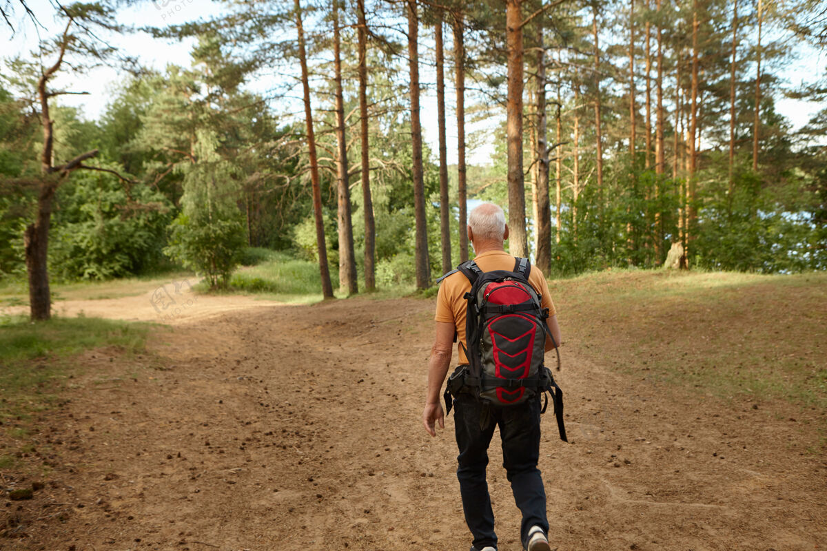 人无法辨认的老人背着背包在阳光明媚的秋天在森林里徒步旅行 沿着小路行走人 年龄 活动 休闲 娱乐和旅游概念退休成人肖像