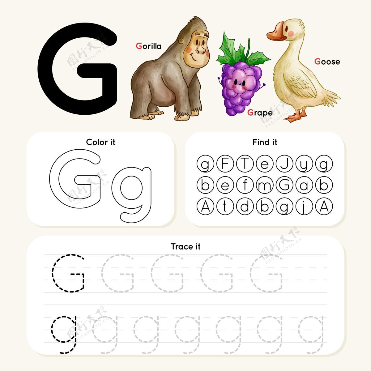 教育字母g与大猩猩 葡萄 鹅知识孩子教育家