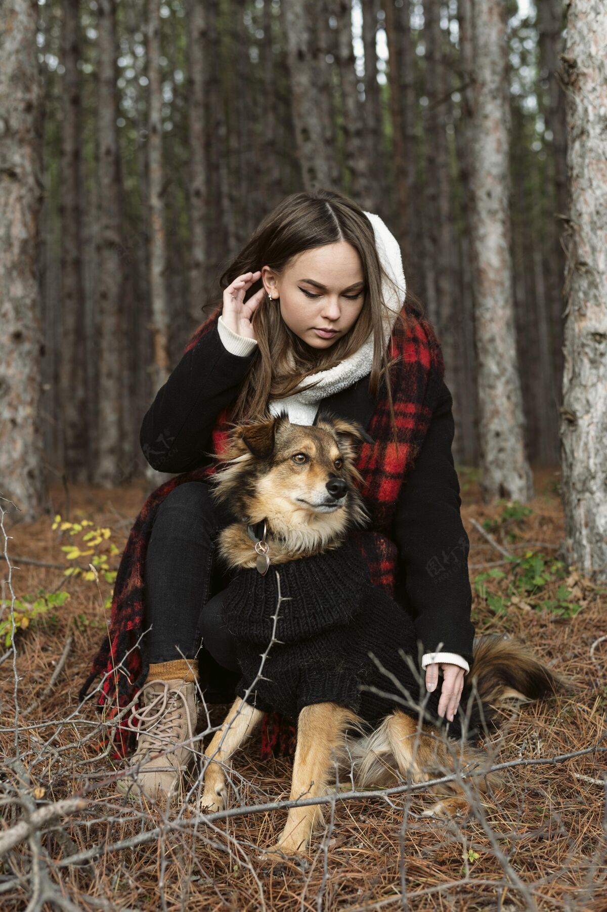 和平年轻女子和她的狗坐在森林里季节性户外森林