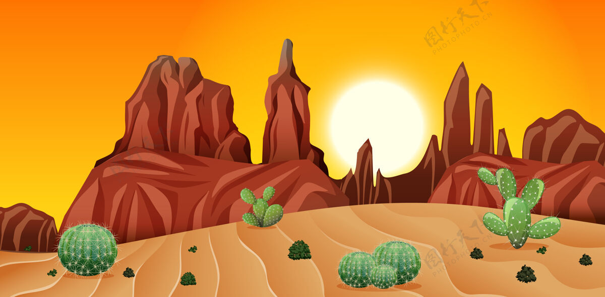 动物沙漠中有石山和仙人掌景观在夕阳的景色风景公园亚利桑那州