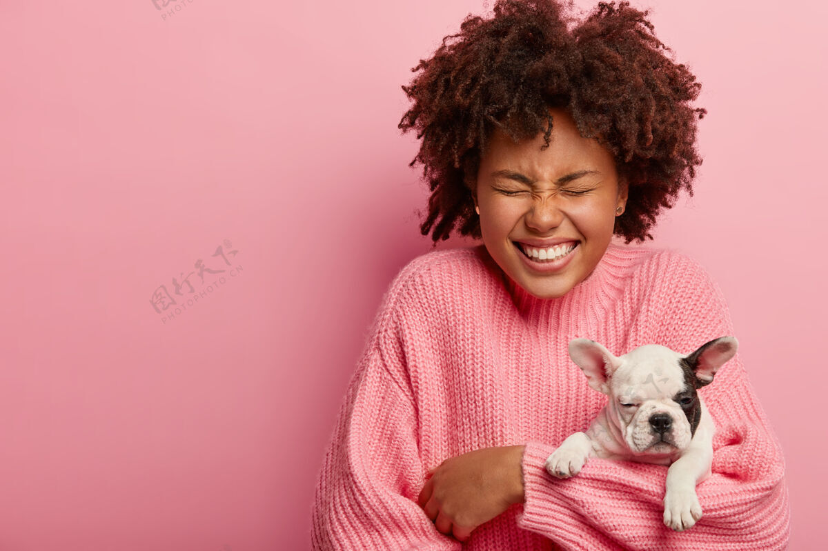 狗室内拍摄的快乐黑皮肤女人抱着睡意朦胧的法国斗牛犬小狗 闭上眼睛 面带笑容 穿着休闲毛衣装备牙齿雌性