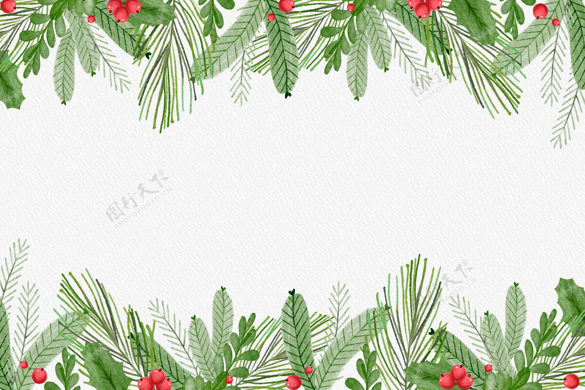 墙纸水彩圣诞树枝背景庆典节日圣诞树树枝