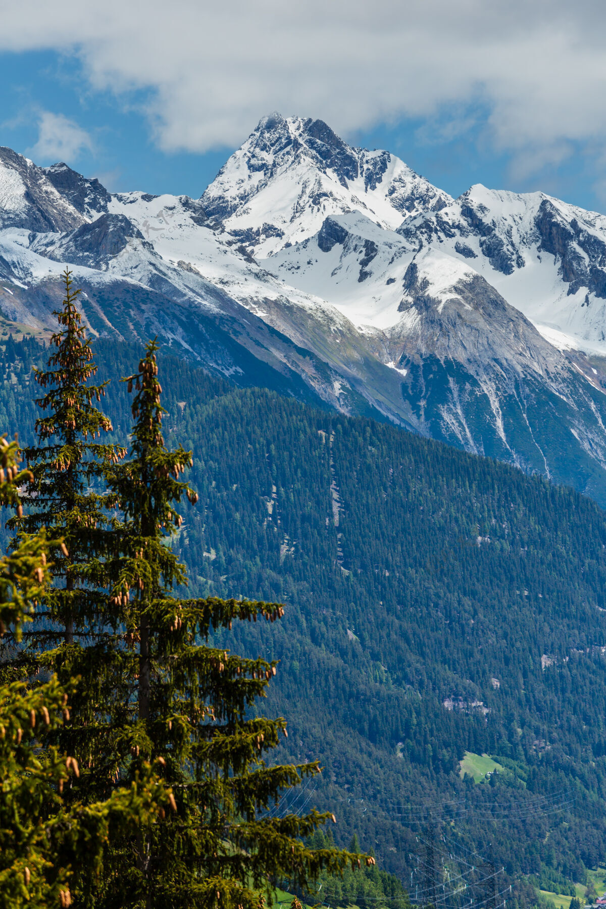 冷杉夏季阿尔卑斯山景观与冷杉森林的斜坡和积雪覆盖的岩石顶部在遥远的奥地利寒冷石雪
