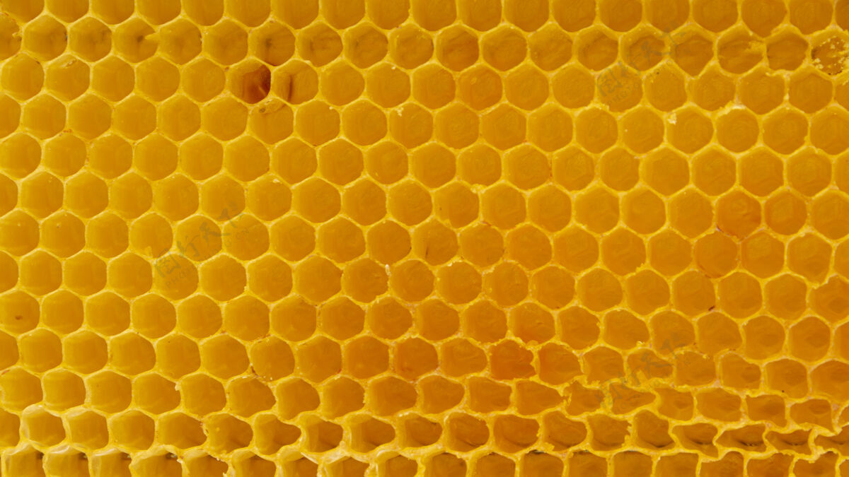 背景黄色蜂窝状纹理宏甜蜂窝